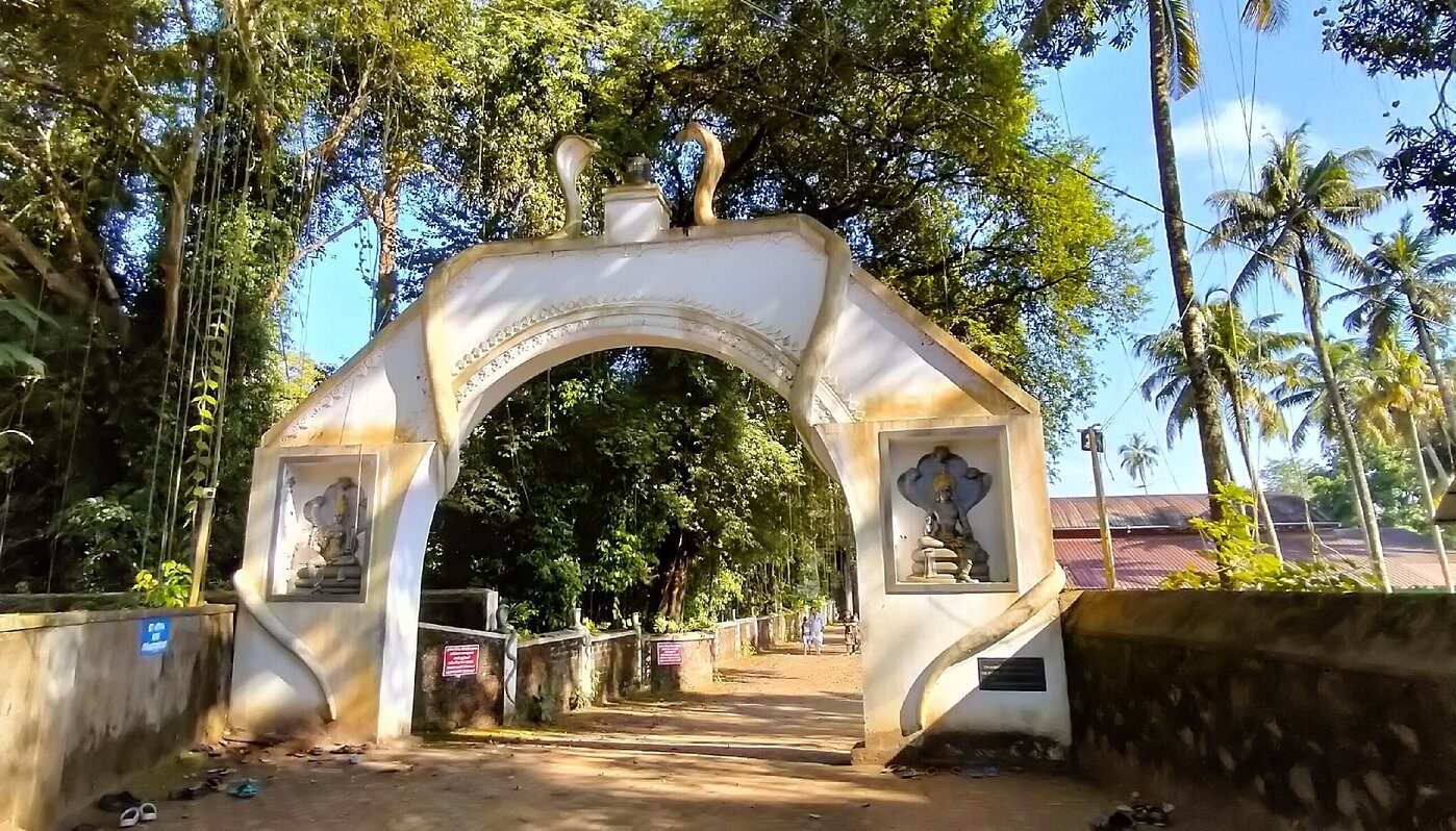 Tea, Temples & a Visit to Pambu Mekkat Mana